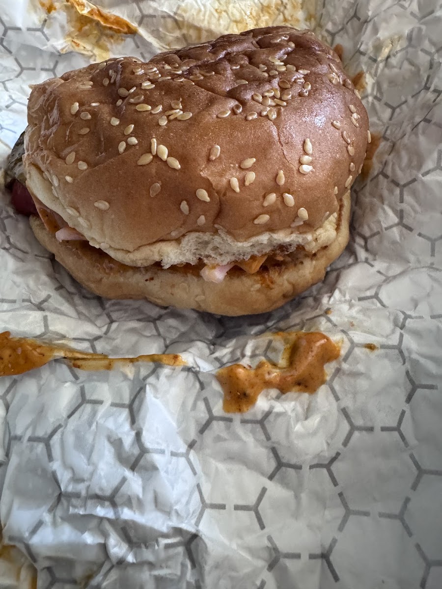 Burger Singh-2