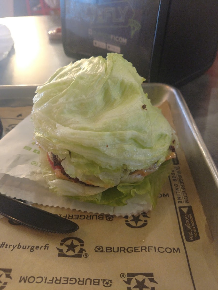 Burgerfi-4