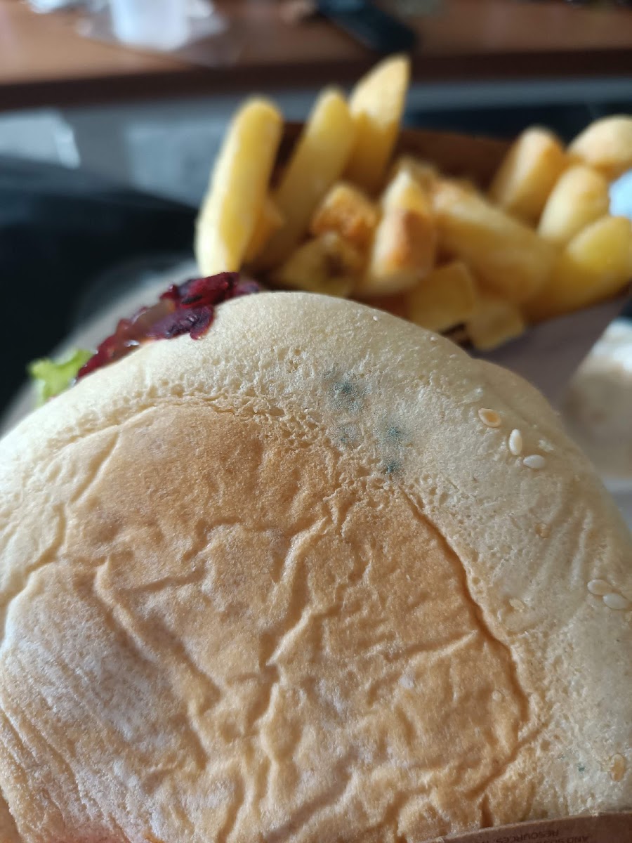 Burgerfuel Manukau-6