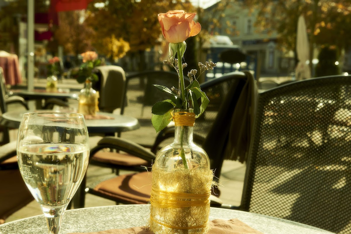 Cafe Da Vinci-9