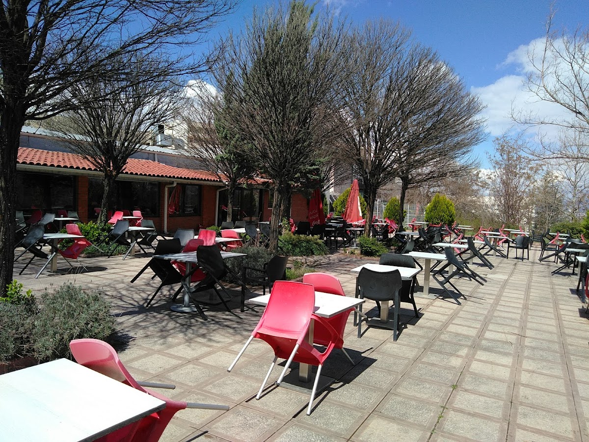Cafe In