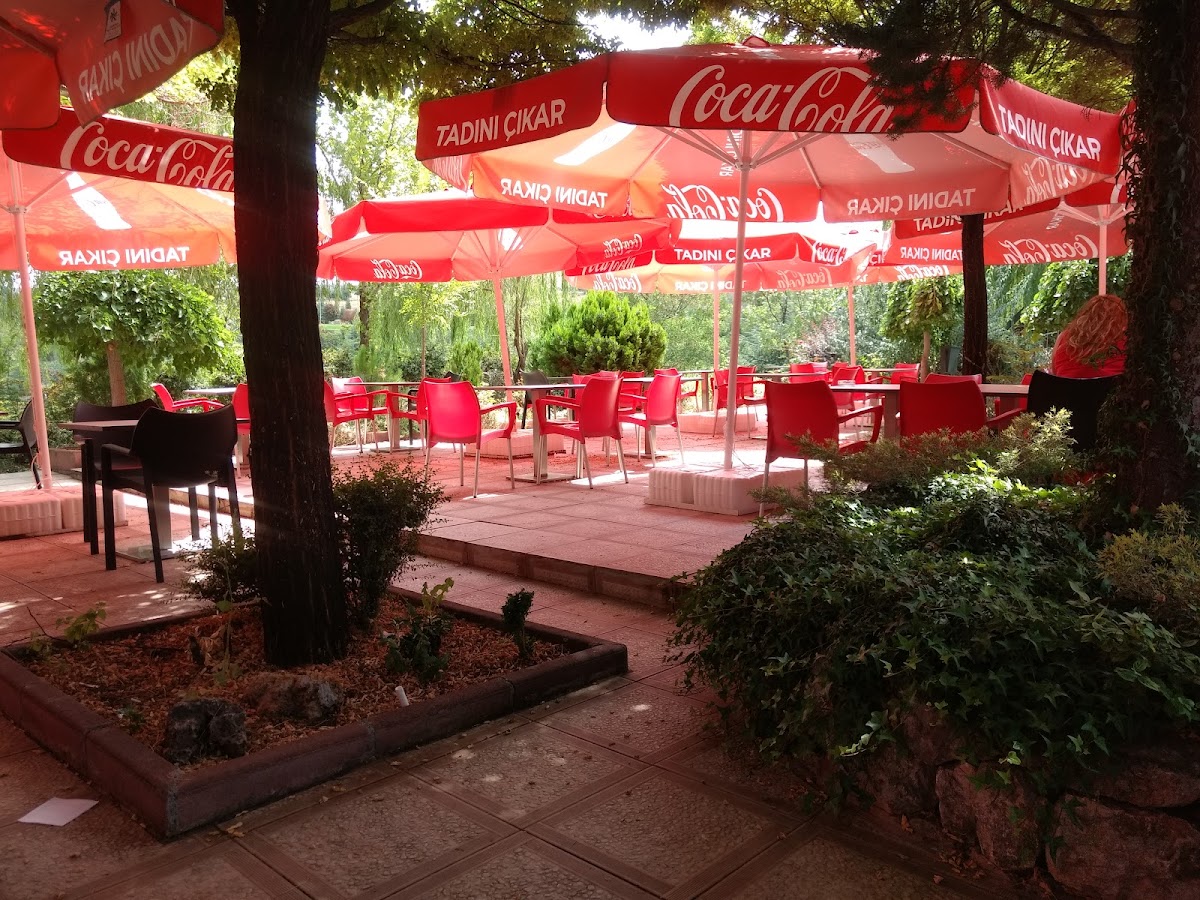 Cafe In-4