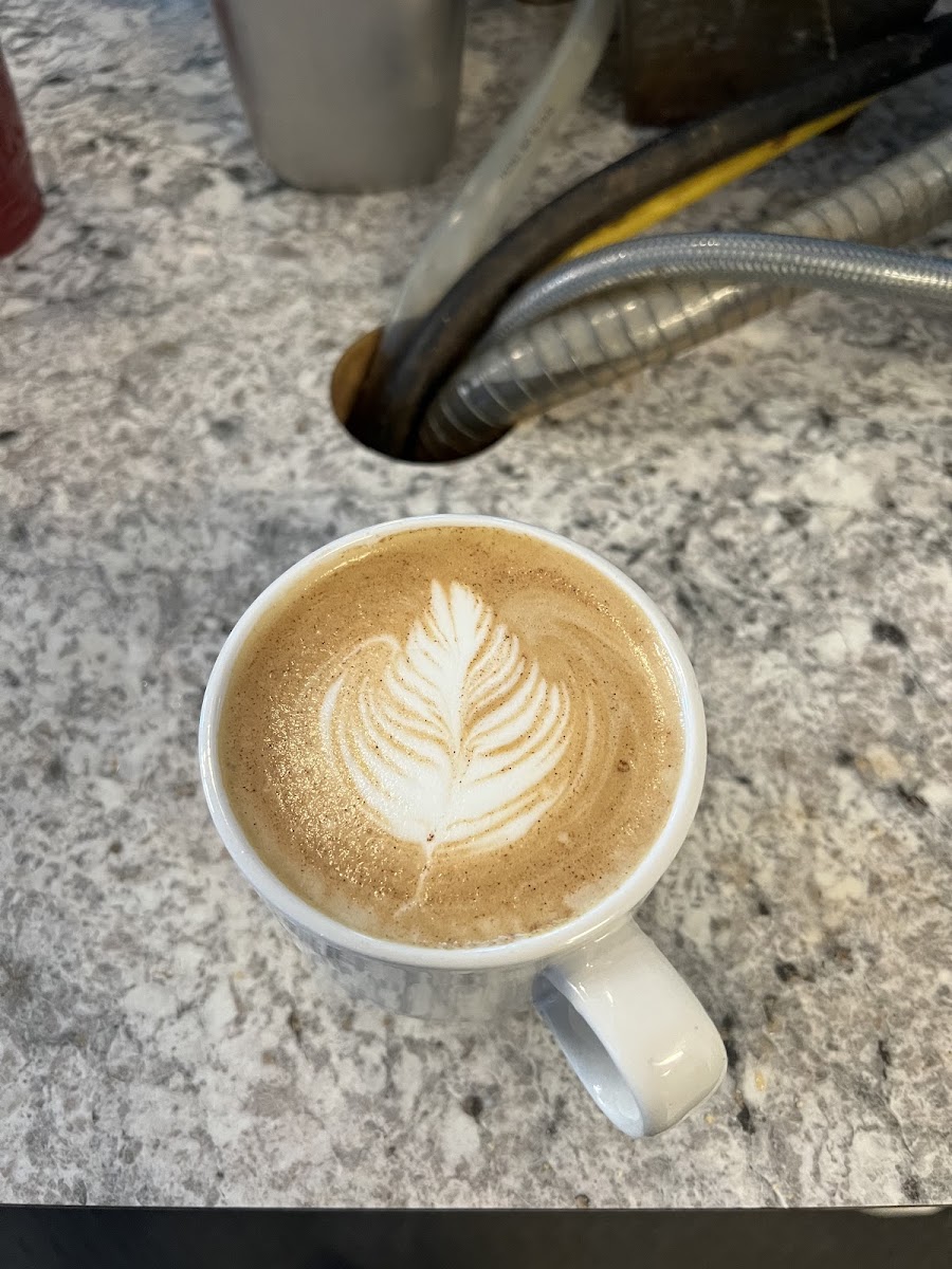Cafe Noto-2