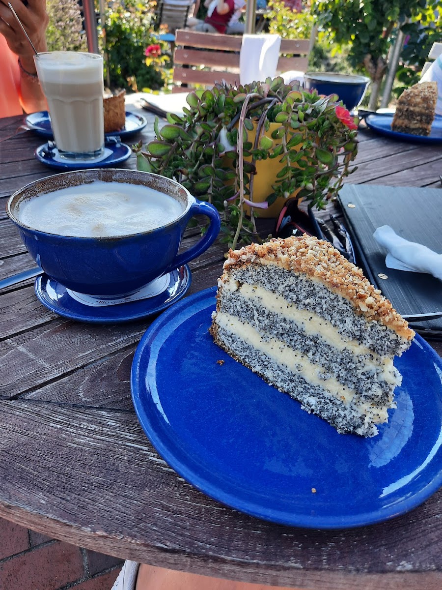 Cafe Rosengarten-6