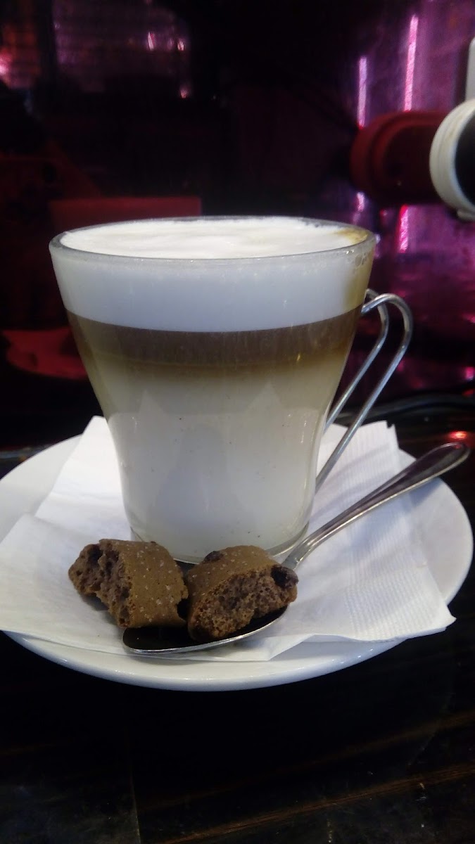Cafe Zingers-7