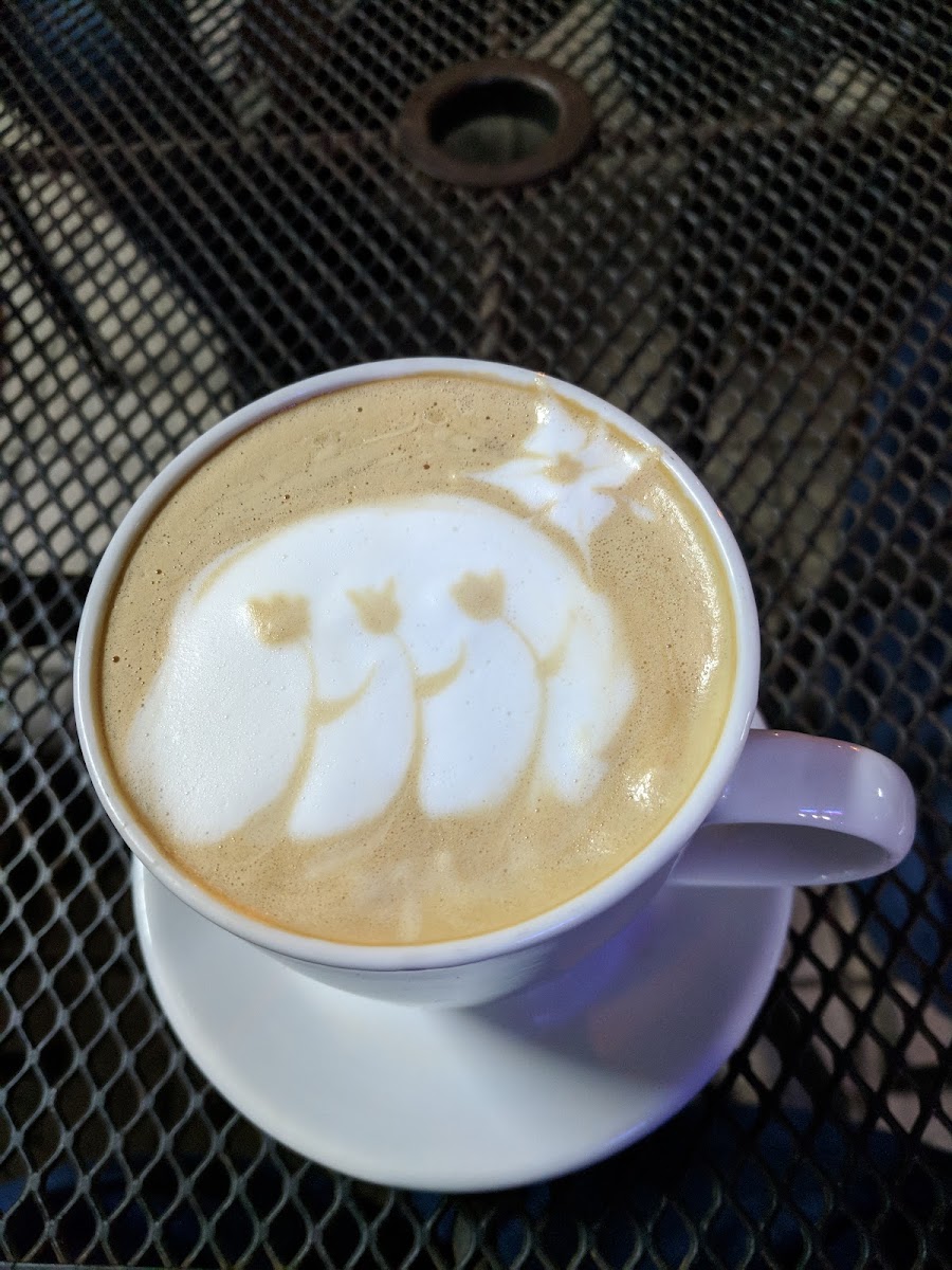 Cafelados-7