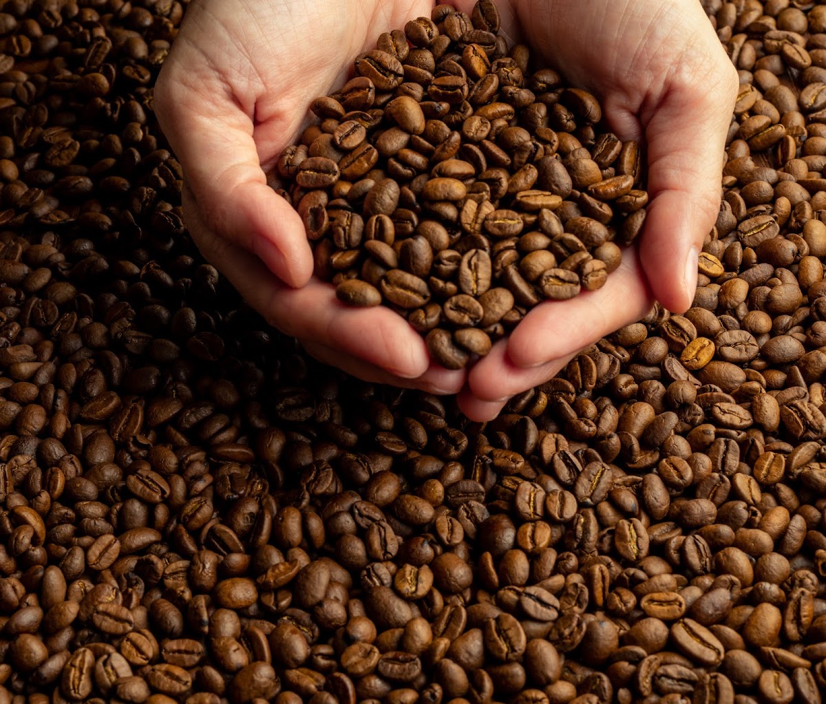 Caffetteria Torrefazione, Drupa Lab-5