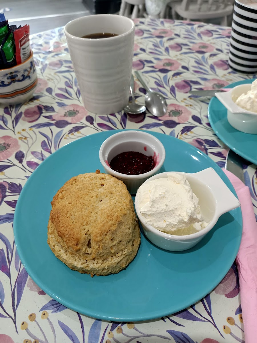 Caffi Banc Cemaes-10