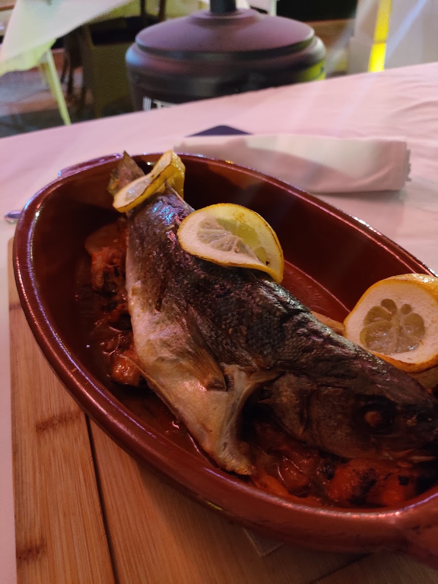 Calma Balkan Cuisine-7