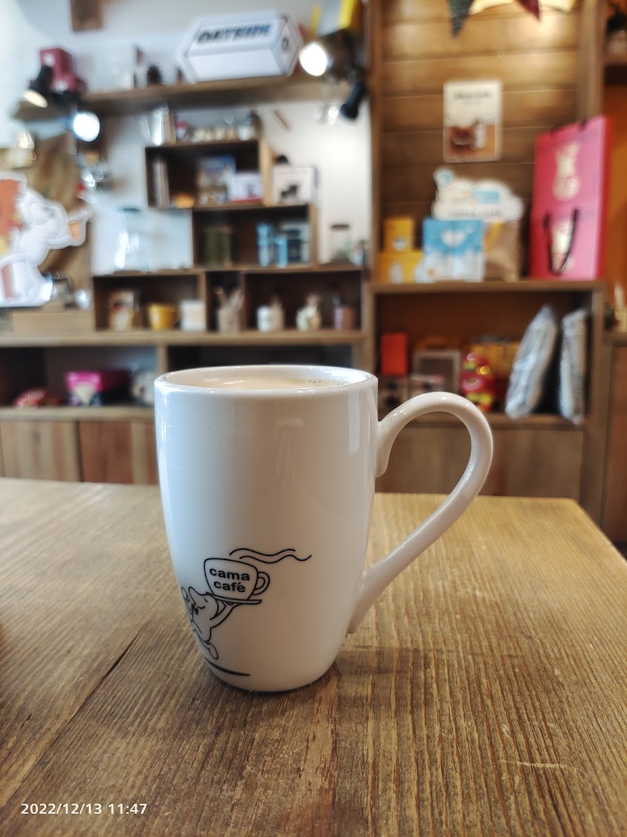 Cama Cafe Hsinchu Big City Shop-3