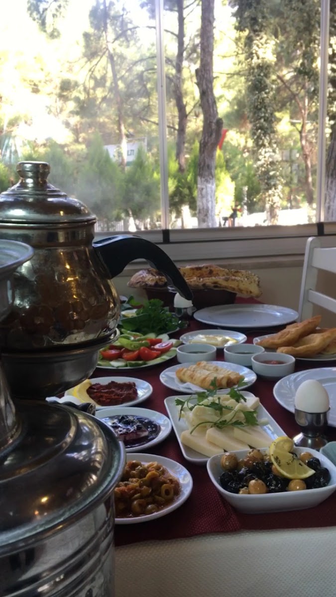 Camaltı Restoran Ciceklikoy-2