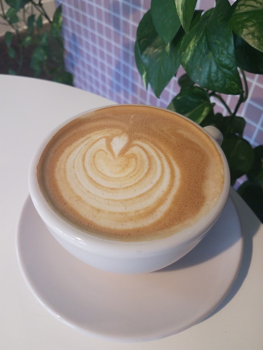 Camellia Coffee Roasters-7