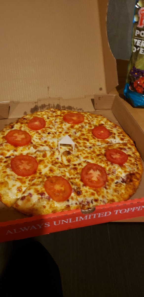 Canadian Pizza Unlimited-7