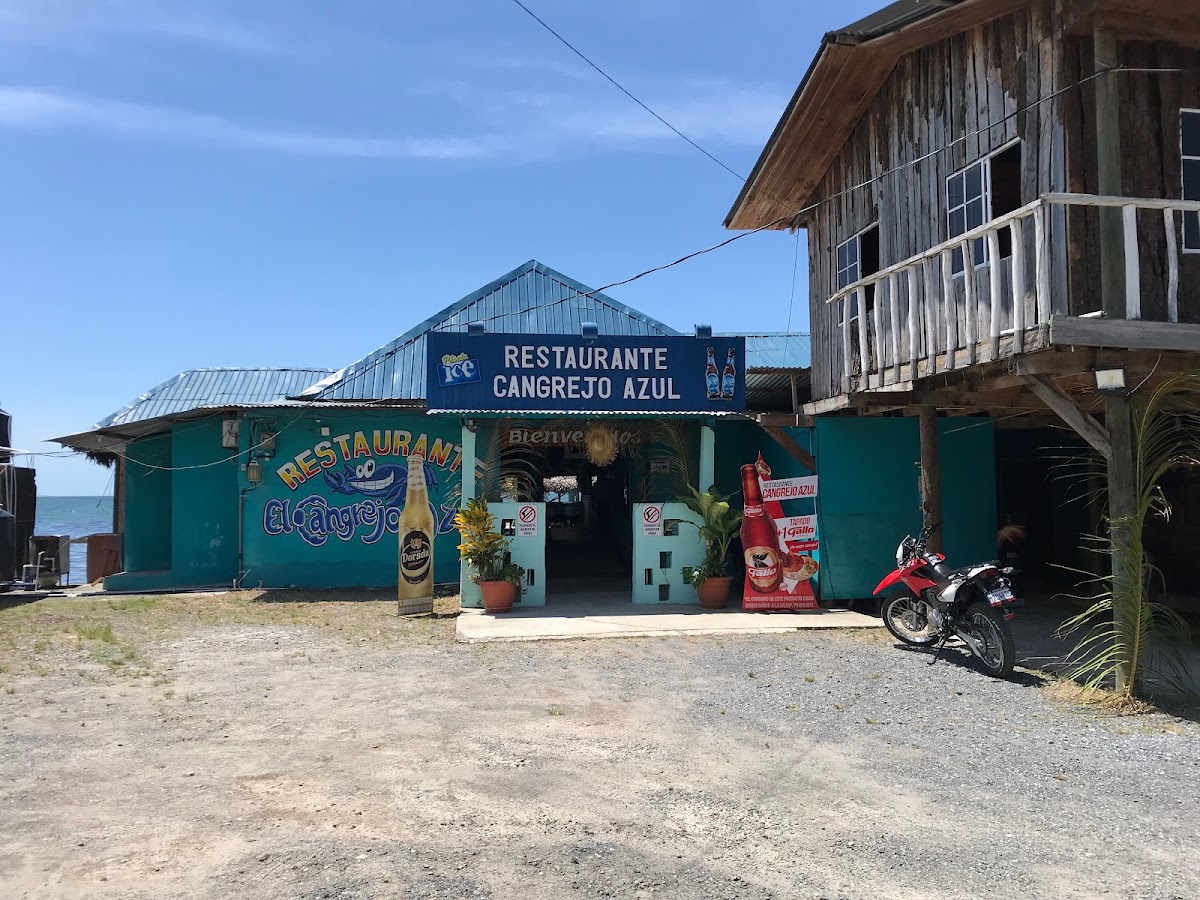 Cangrejo Azul