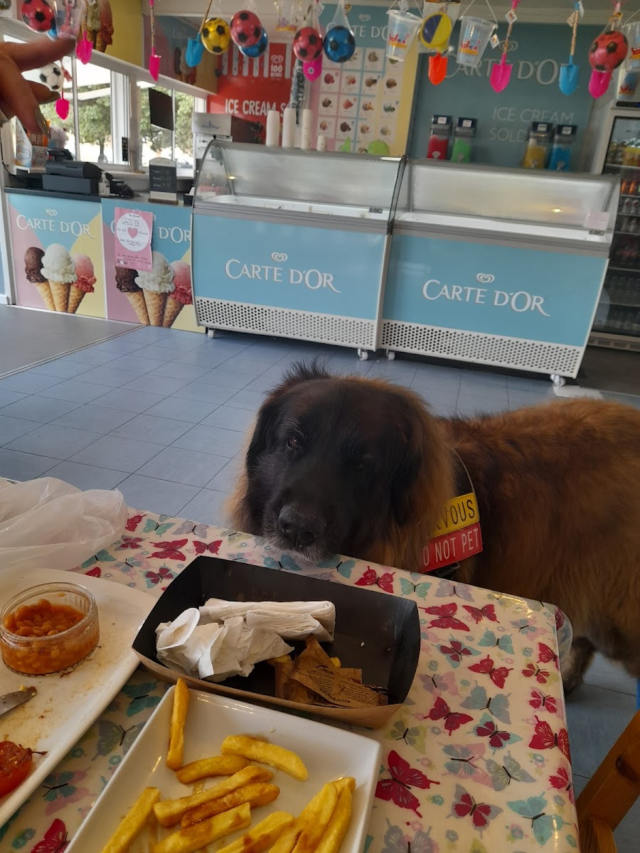 Canoe Lake Cafe-7