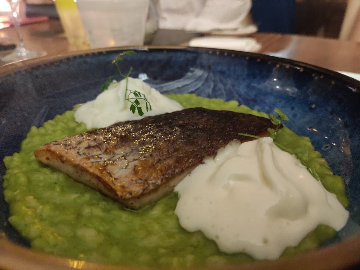 Capo Crudo-9