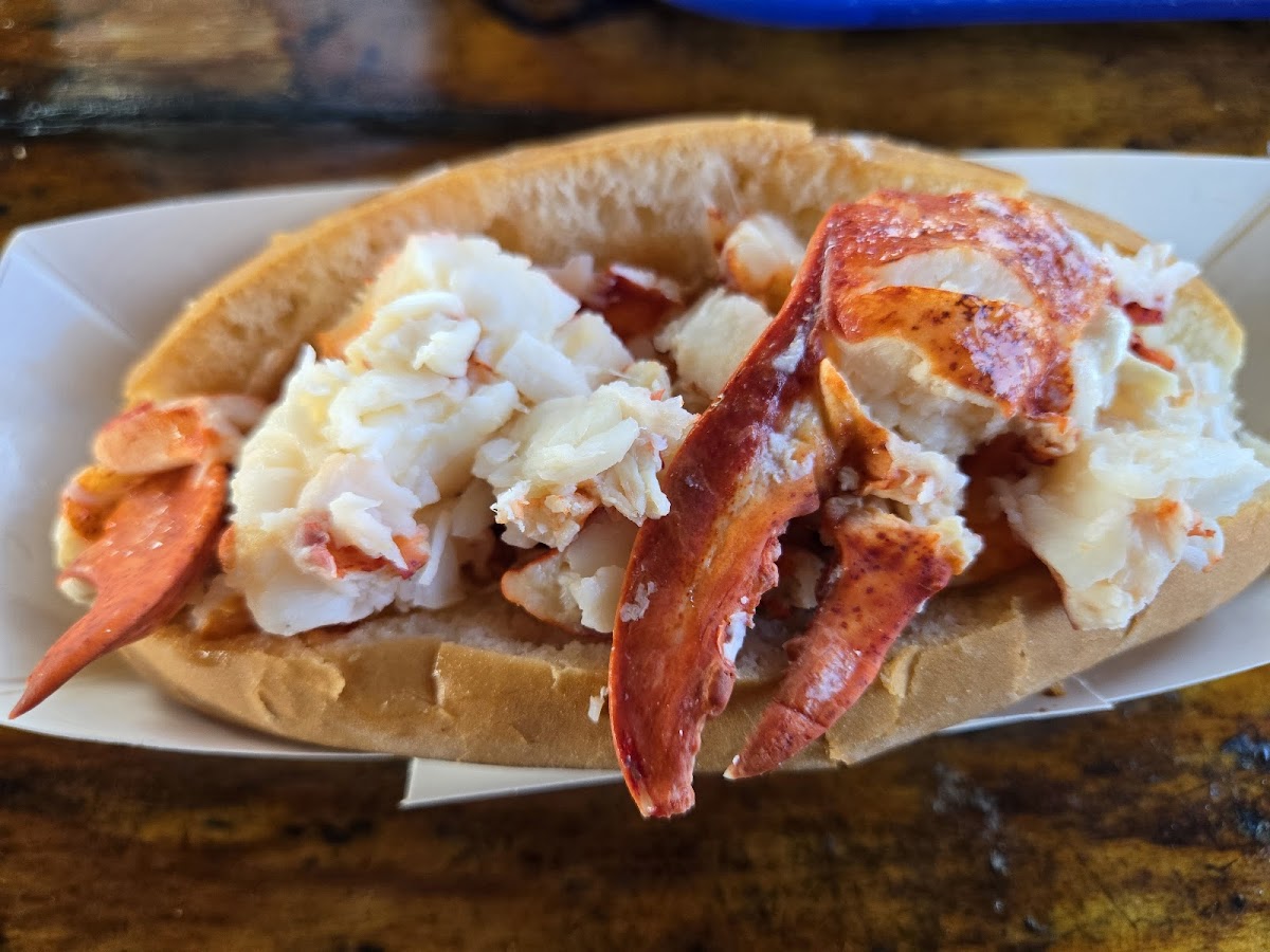 Captain Scott's Lobster Dock-3