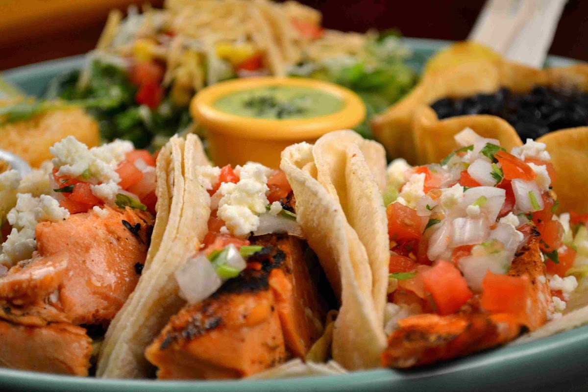 Carlos1800 Mexican Grill And Cantina-3