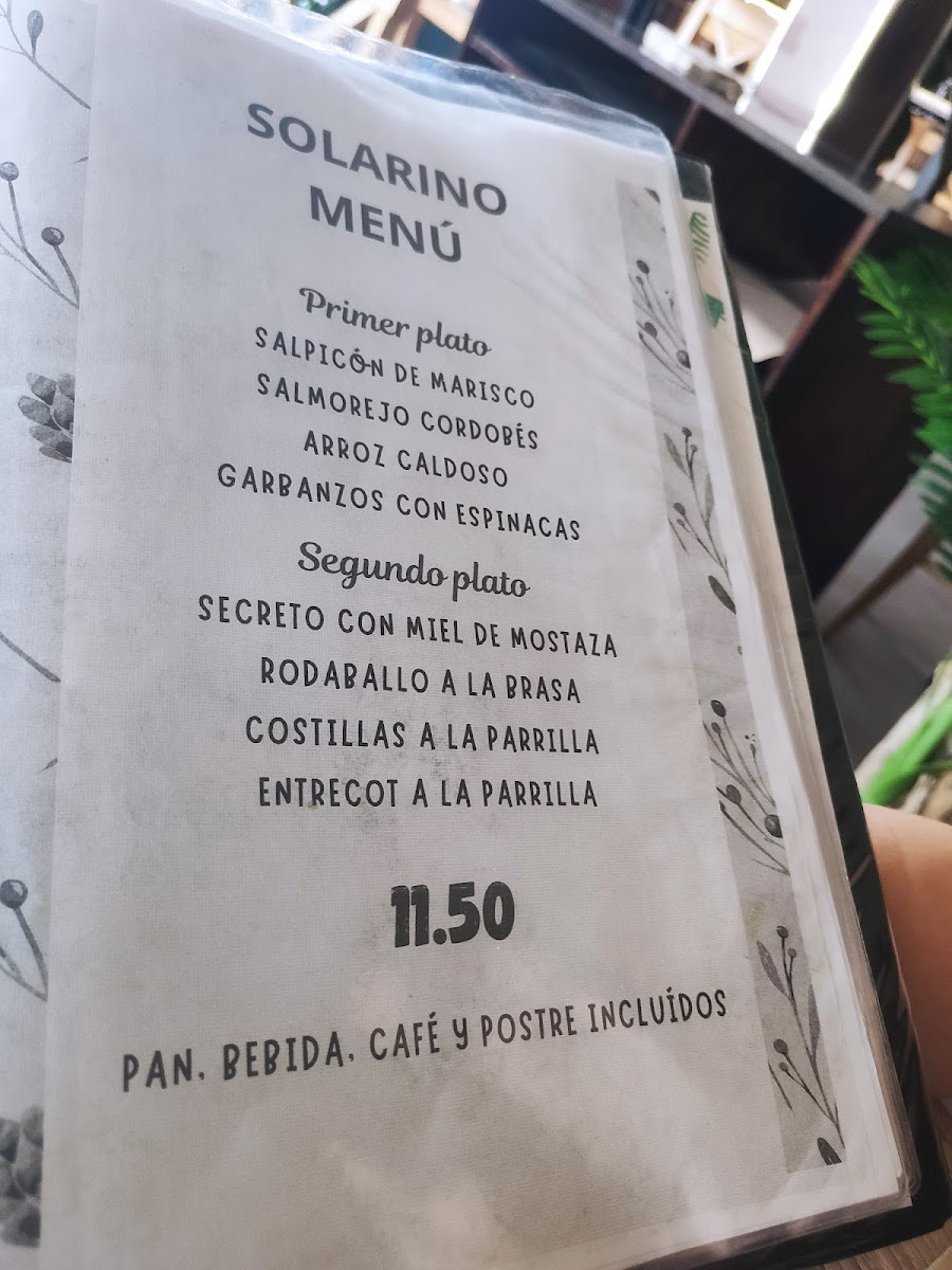 Menu Carnes A La Brasa | Restaurante Solarino-8