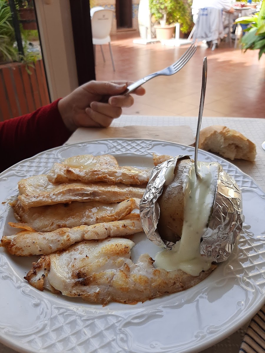 Casa Palma-9