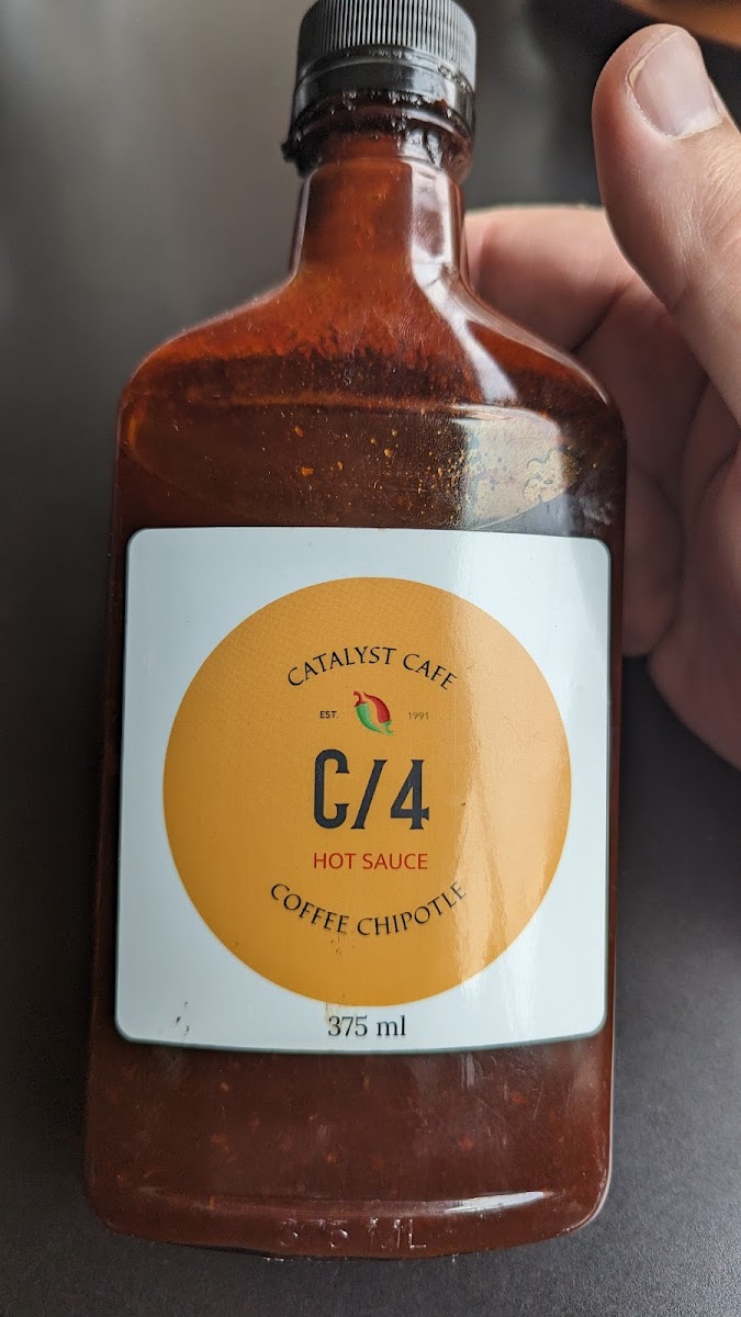 Catalyst2Go-10