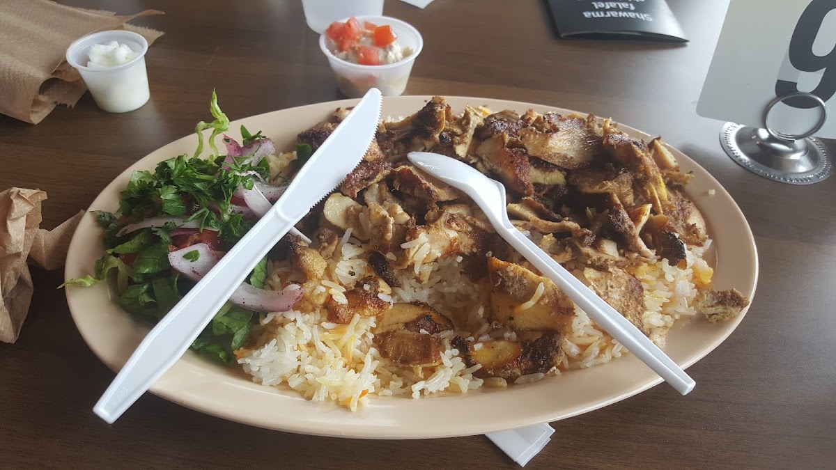Cateus Pita Arabian Grill-5