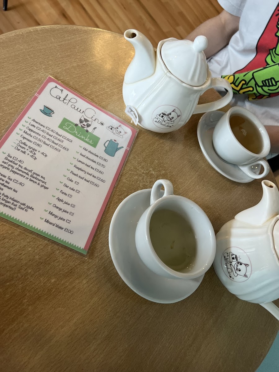 Catpawcino Cat Cafe-3