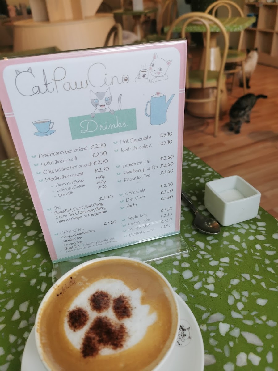 Catpawcino Cat Cafe-7