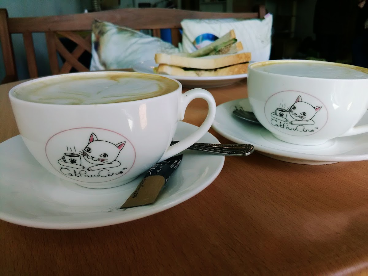 Catpawcino Cat Cafe-8