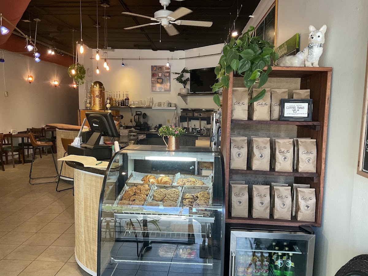 Cedar Fox Coffee