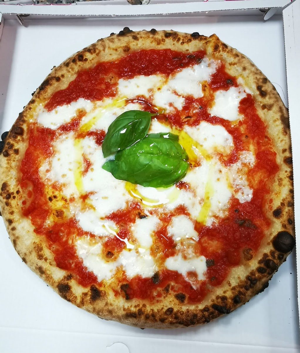 Cento88