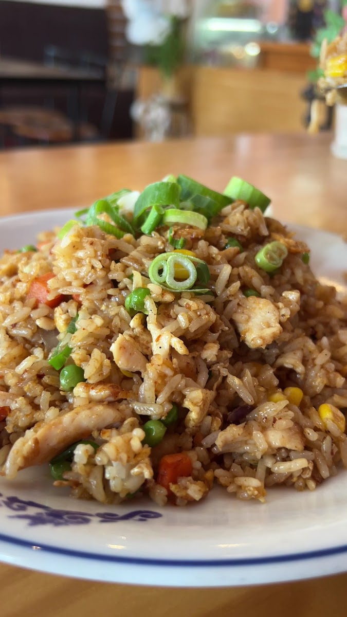 Chang Gaow Thai Restaurant-2