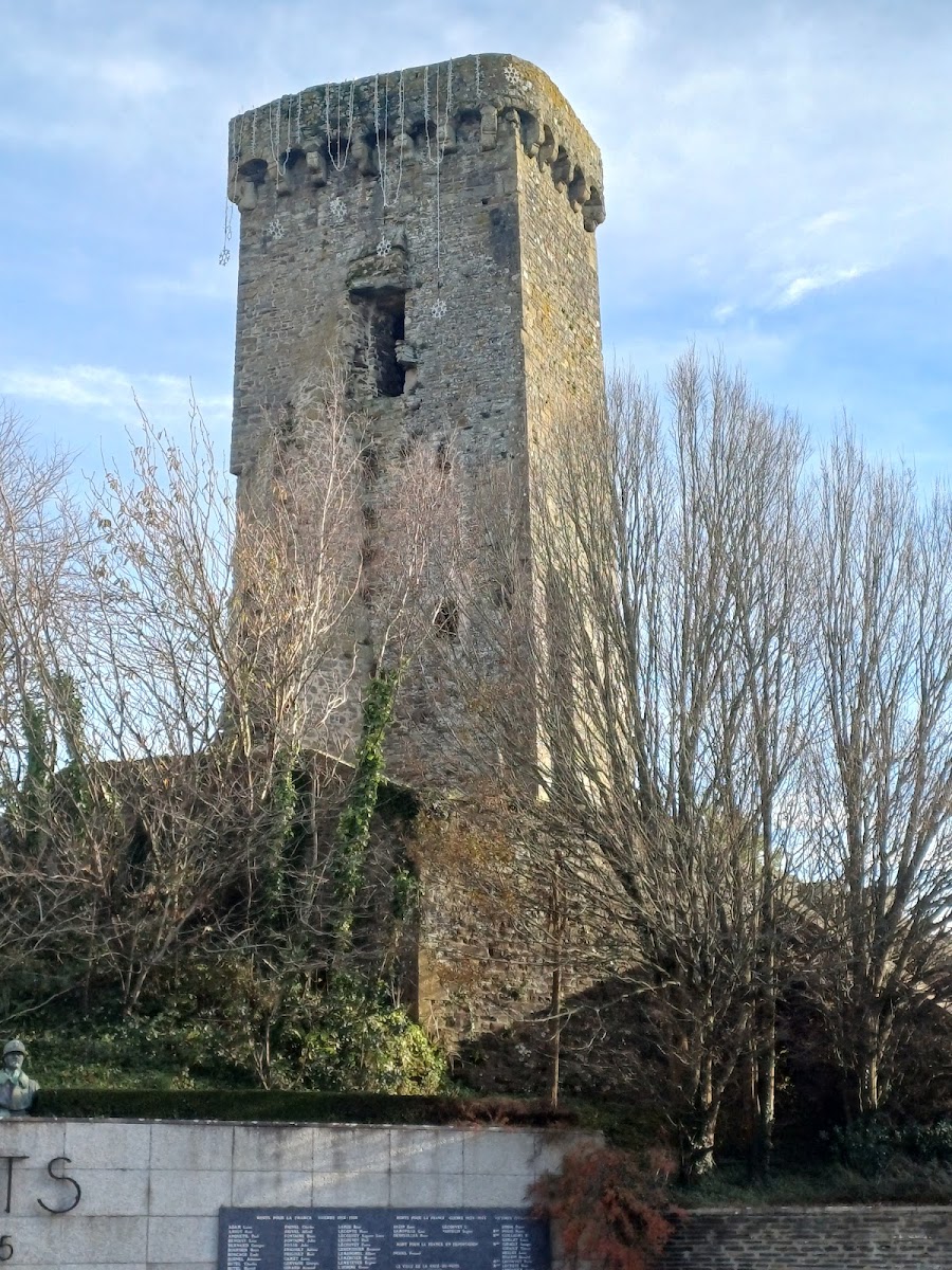 Chateau De La Haye-Du-Puits-8