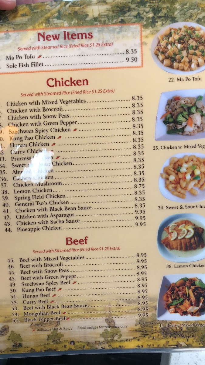 Menu Chengdu Taste-7