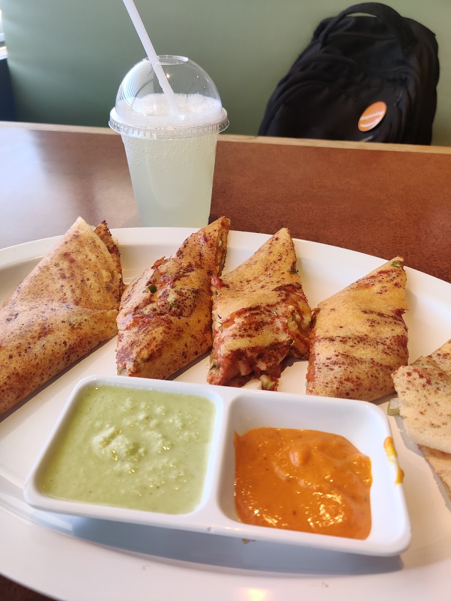 Chennai Dosa Hut Vegetarian Restaurant & Indian Food-10