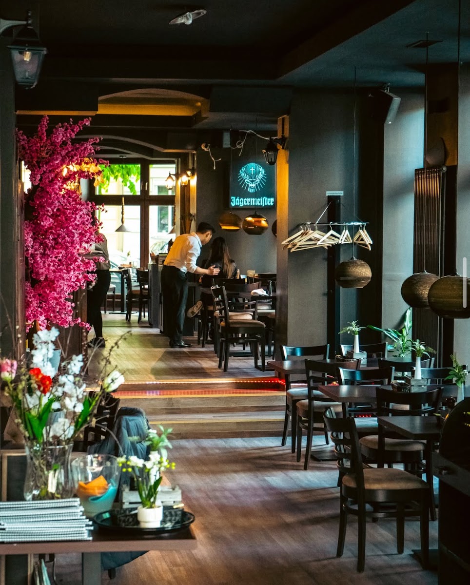 Chimi Berlin