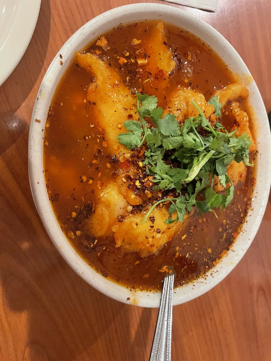 China Szechwan-8