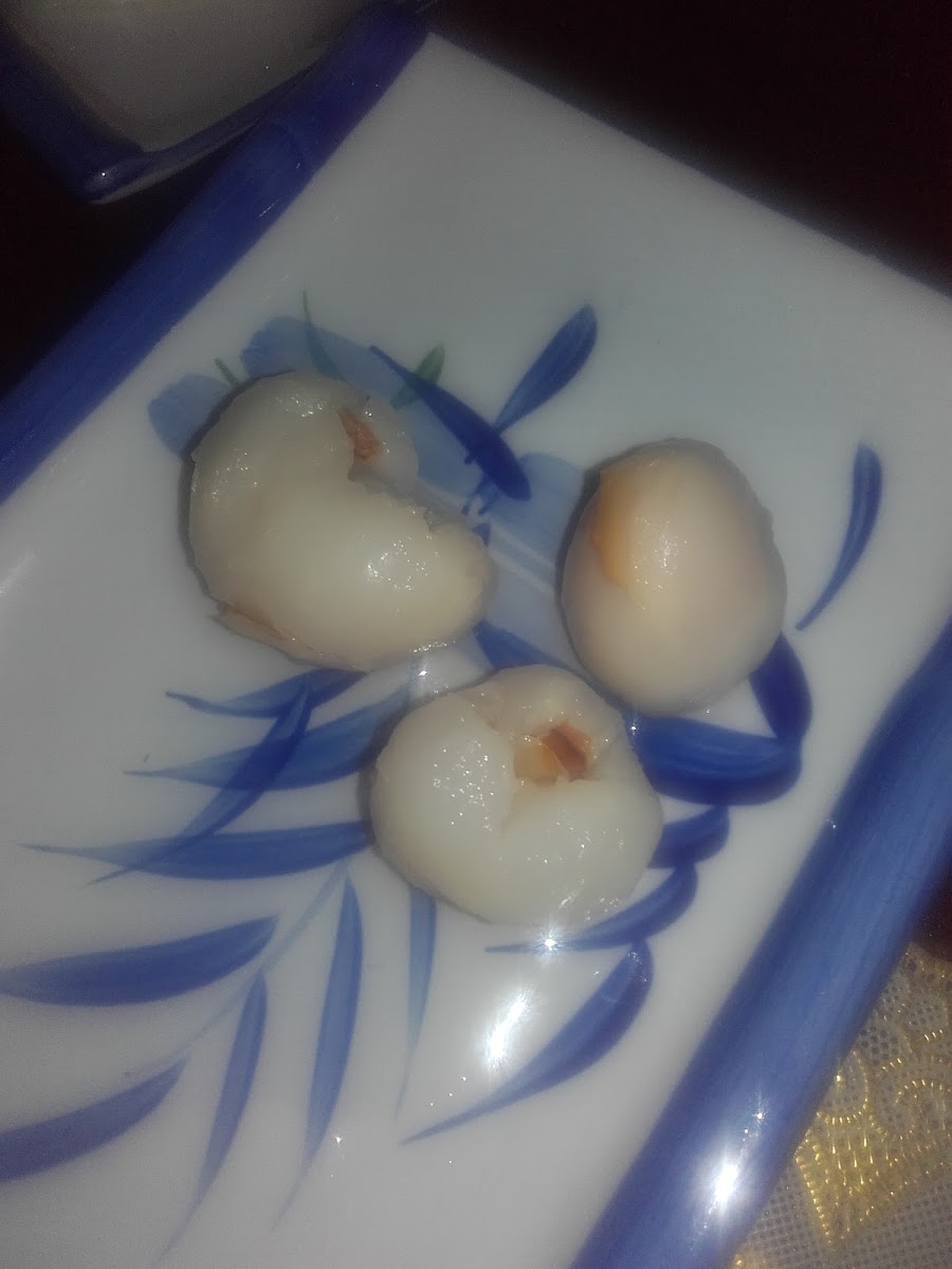 Chinees Oriëntaals Rest. 'de Wok'-7