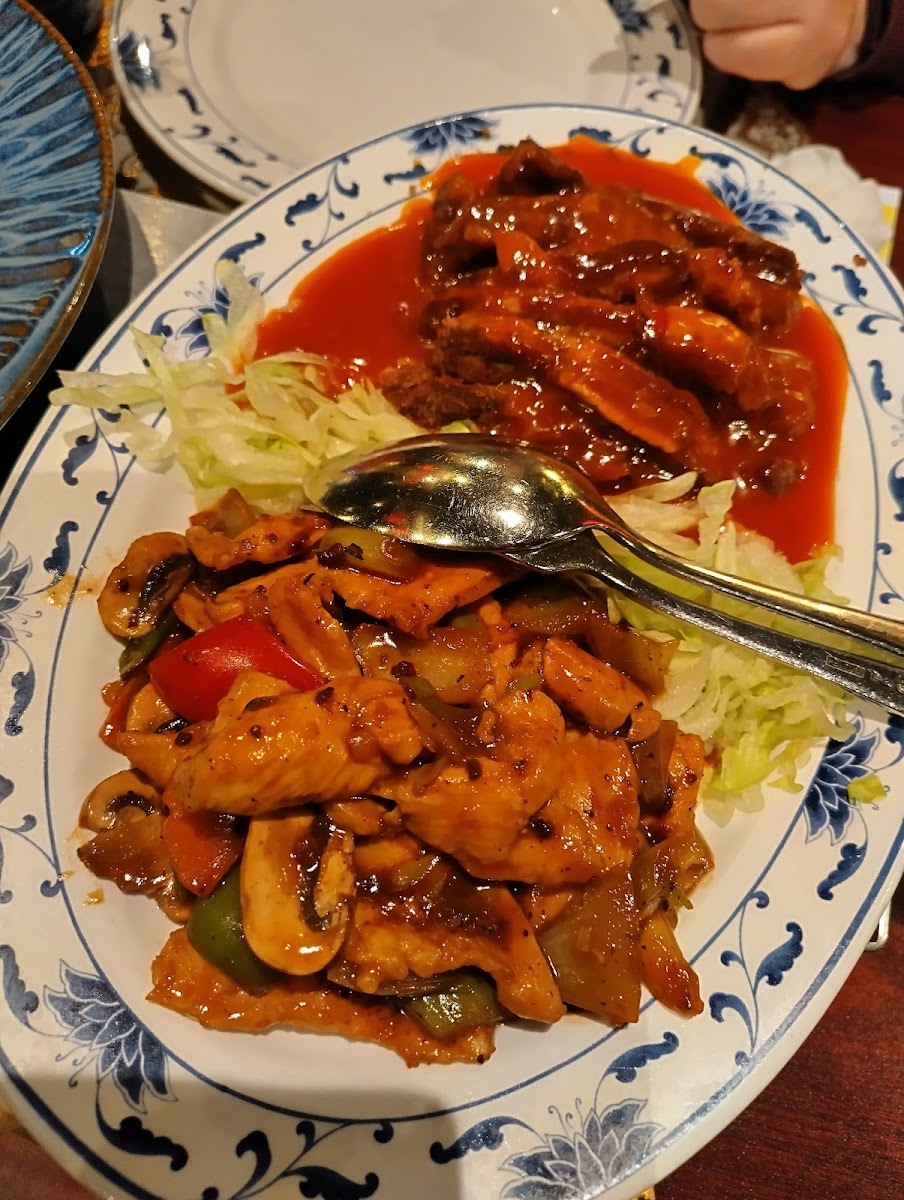 Chinees Oriëntaals Rest. 'de Wok'-8