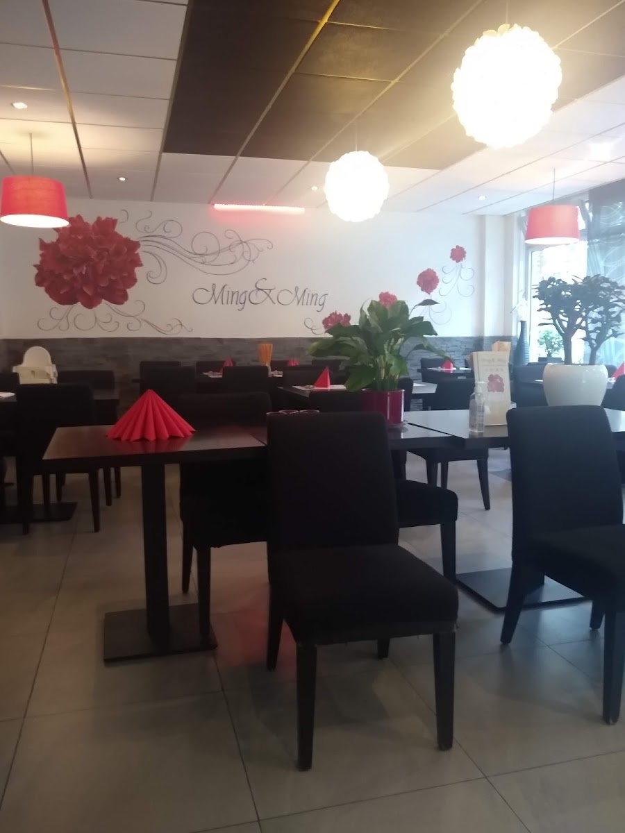 Chinees Restaurant Ming & Ming Gorinchem-4