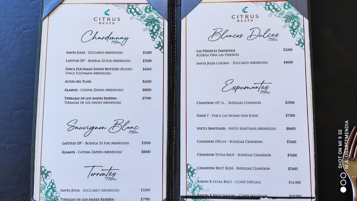 Menu Citrus Resto-4