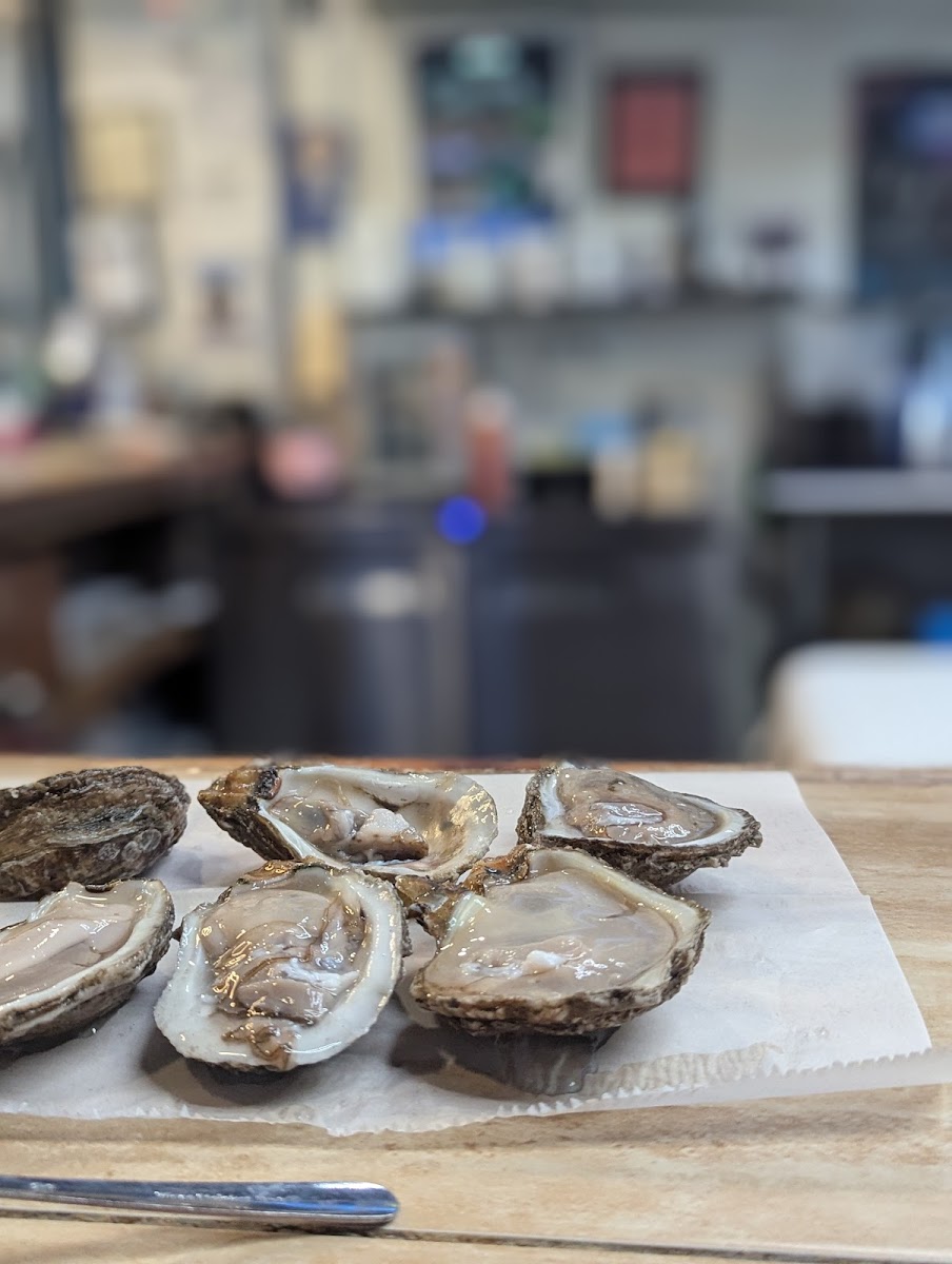 Clermont Oyster Bar-3