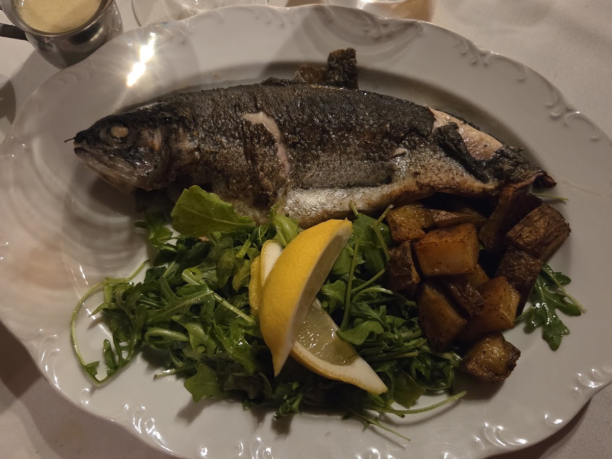 Coco Bar & Bistro-4