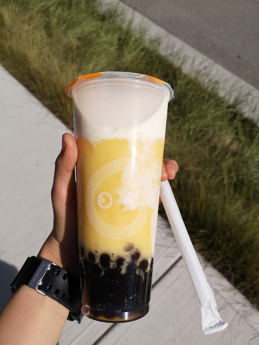 Coco Bubble Tea（North Road）-10