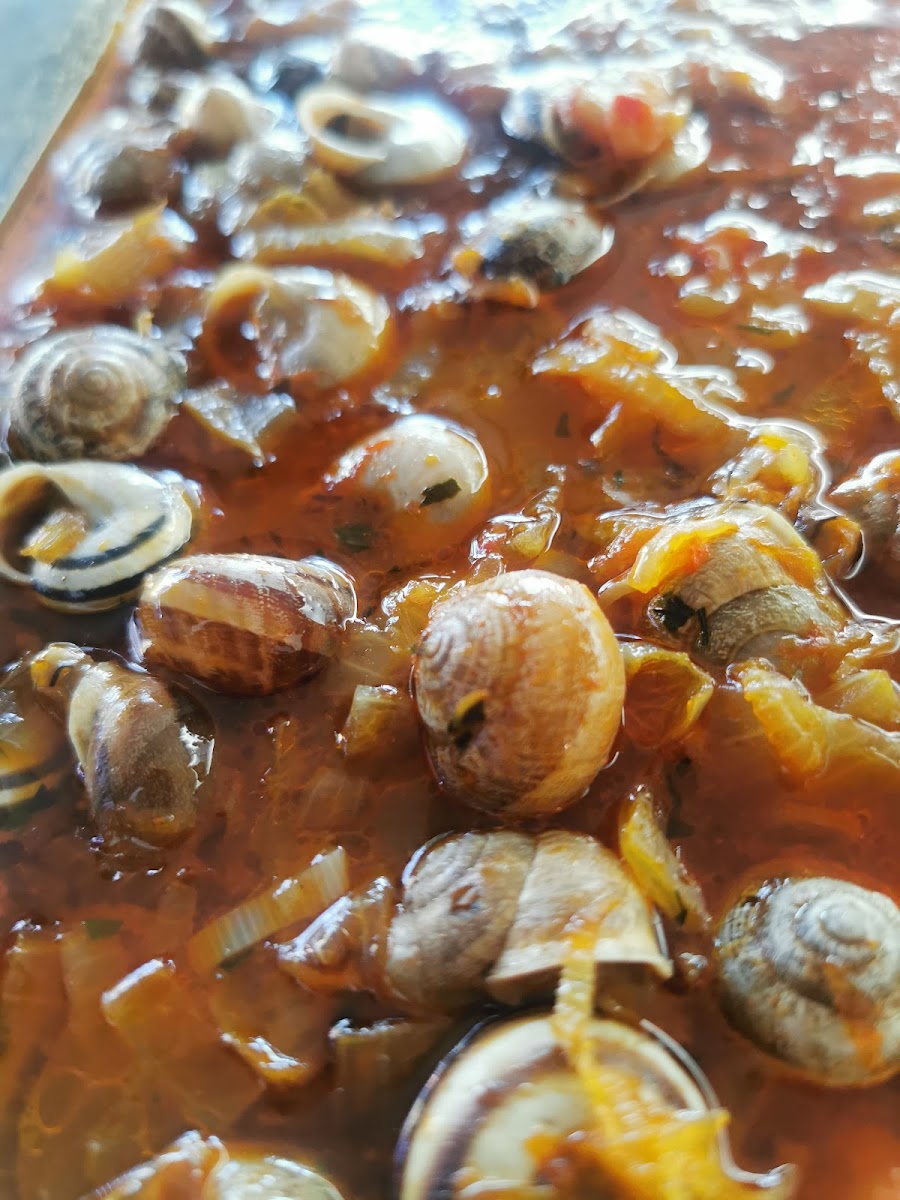 Cocó, Comidas Para Llevar-8