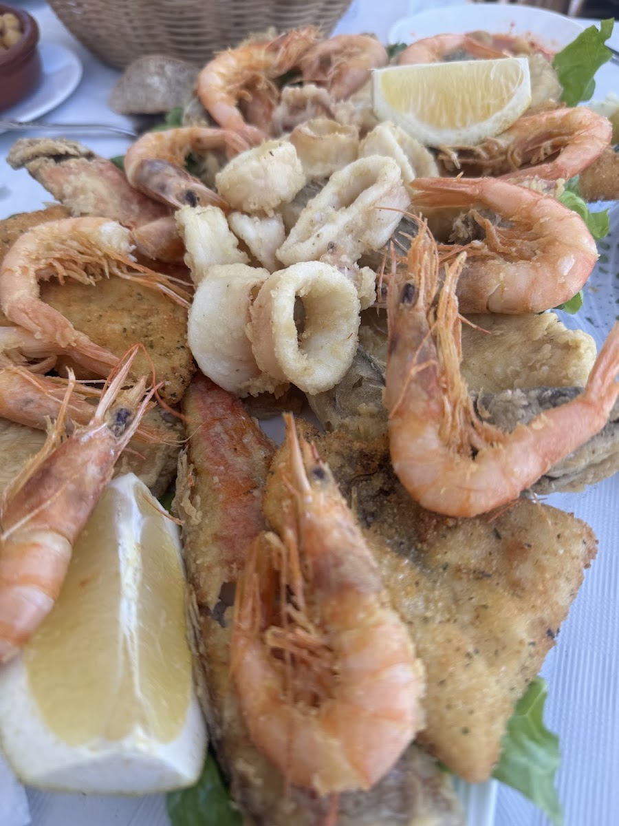 Cocodrilo-4