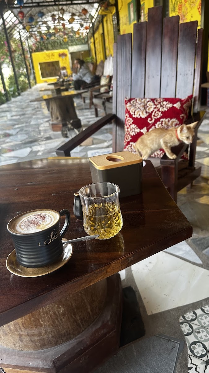 Coffee Cat-5
