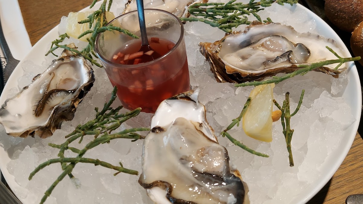 Comer Egmond Aan Zee-5