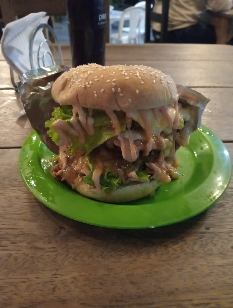 Comidas Rápidas El Burro-10