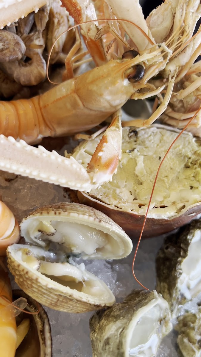 Comptoirs De L'océan-2